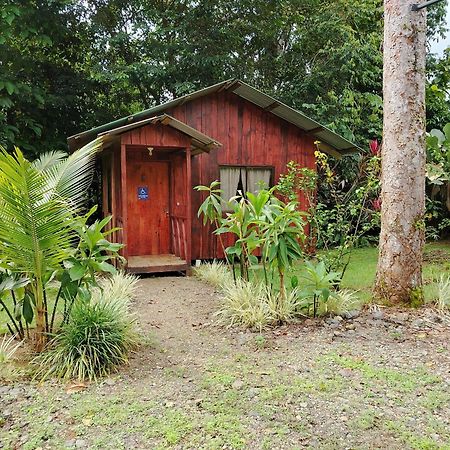 Citronela Lodge Corcovado Drakes Bay 외부 사진