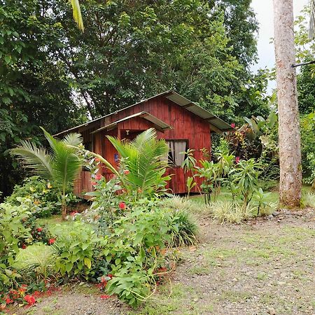 Citronela Lodge Corcovado Drakes Bay 외부 사진