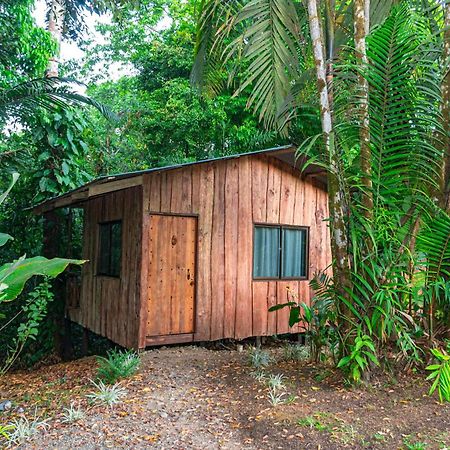 Citronela Lodge Corcovado Drakes Bay 외부 사진