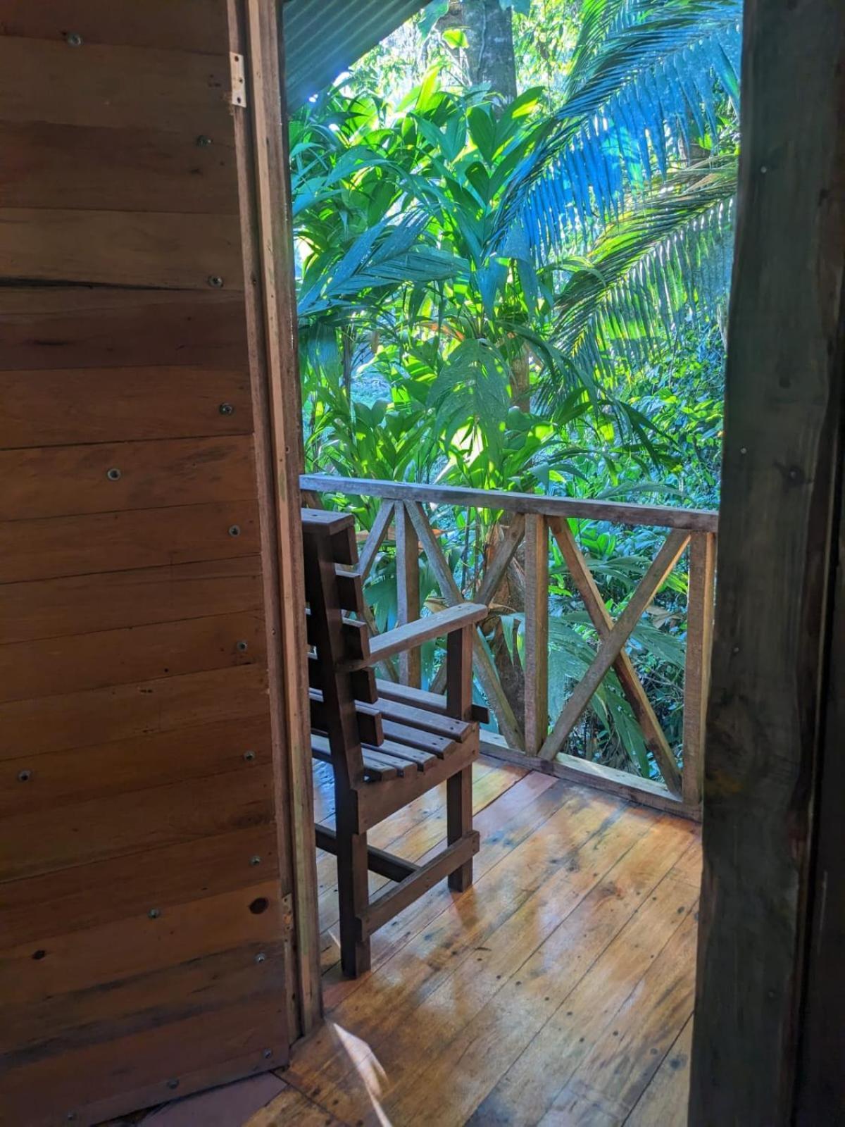 Citronela Lodge Corcovado Drakes Bay 외부 사진