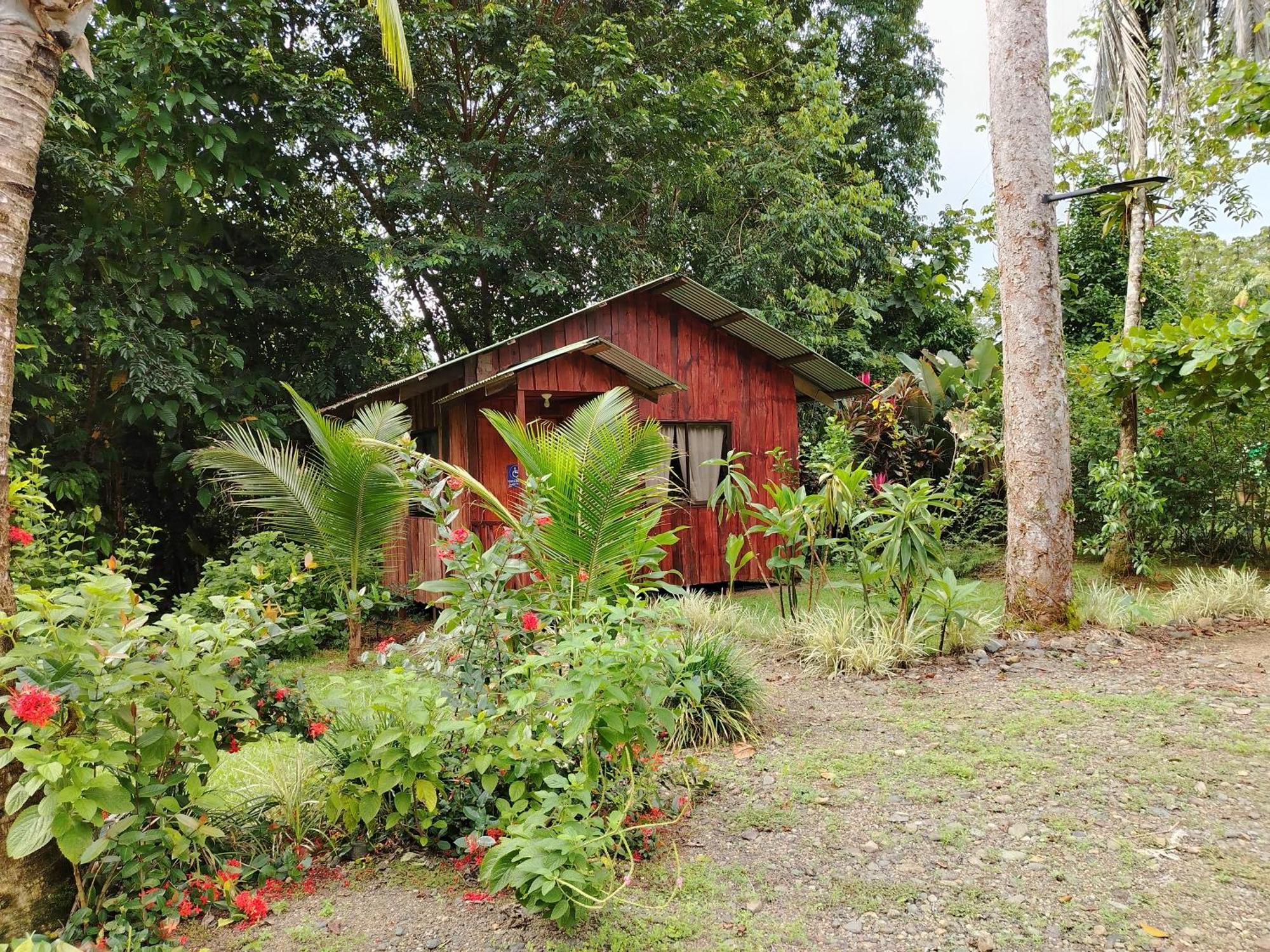 Citronela Lodge Corcovado Drakes Bay 외부 사진