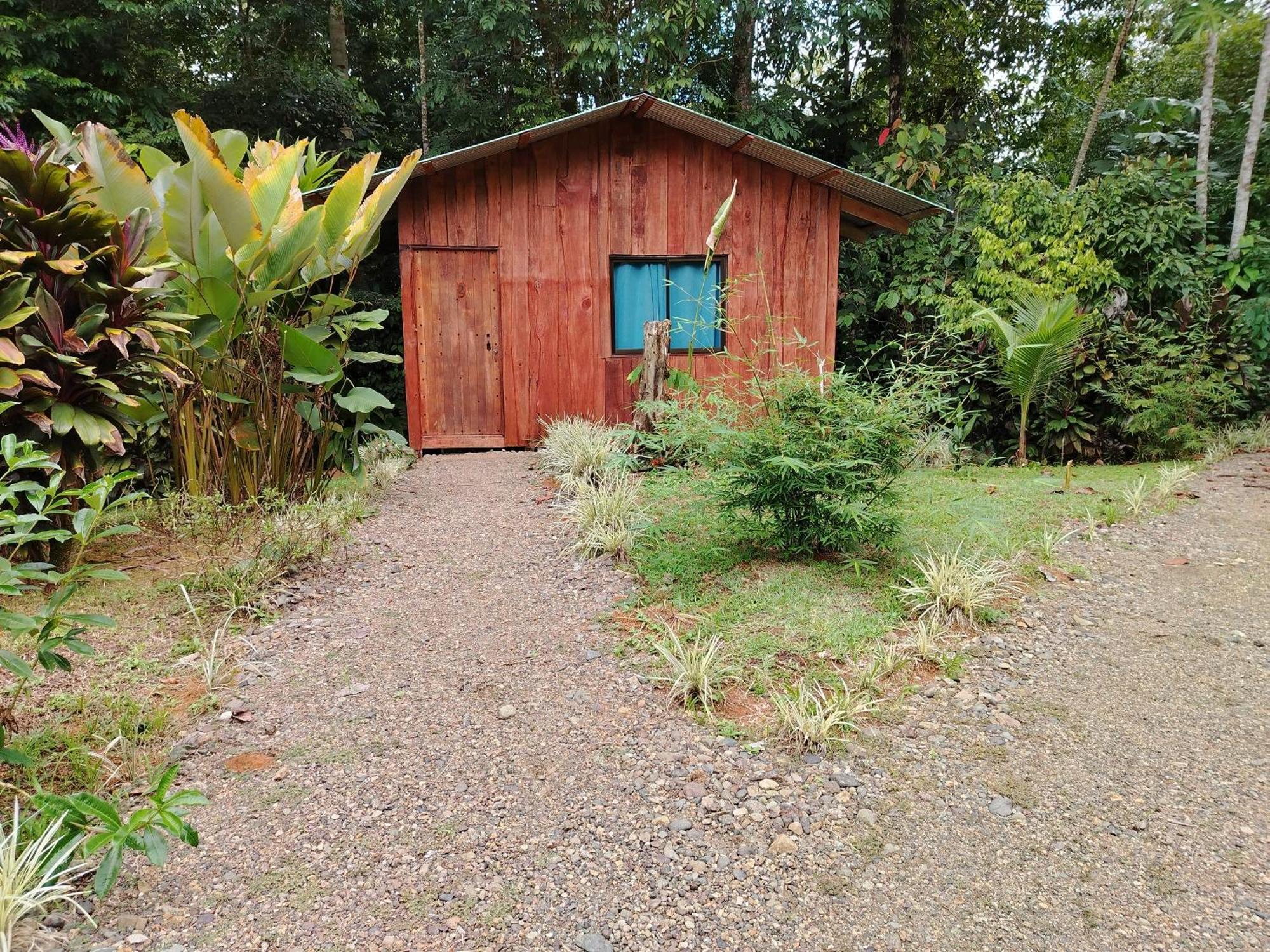 Citronela Lodge Corcovado Drakes Bay 외부 사진