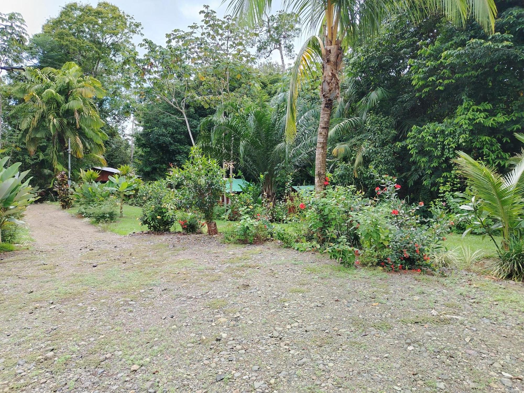 Citronela Lodge Corcovado Drakes Bay 외부 사진