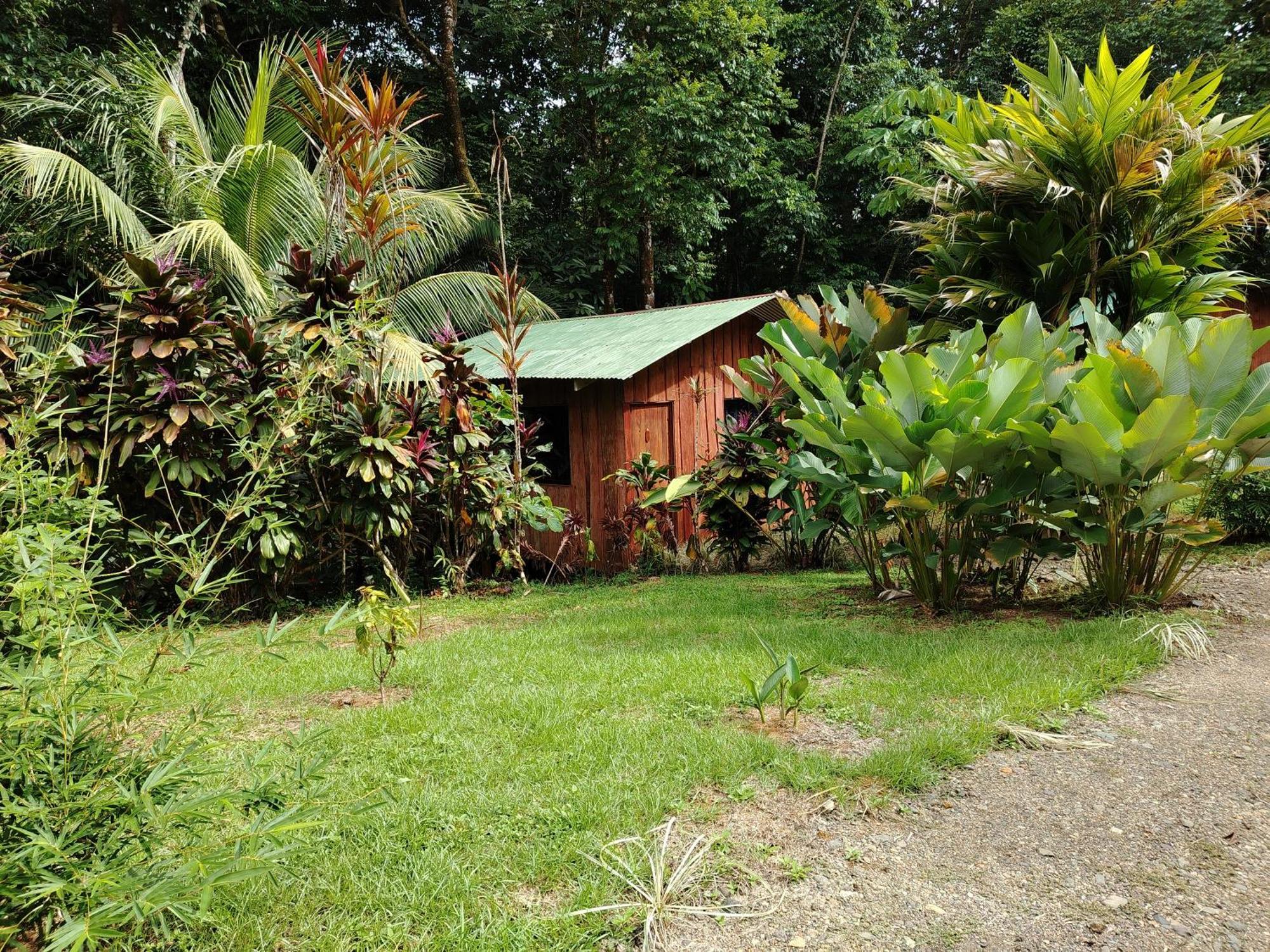 Citronela Lodge Corcovado Drakes Bay 외부 사진