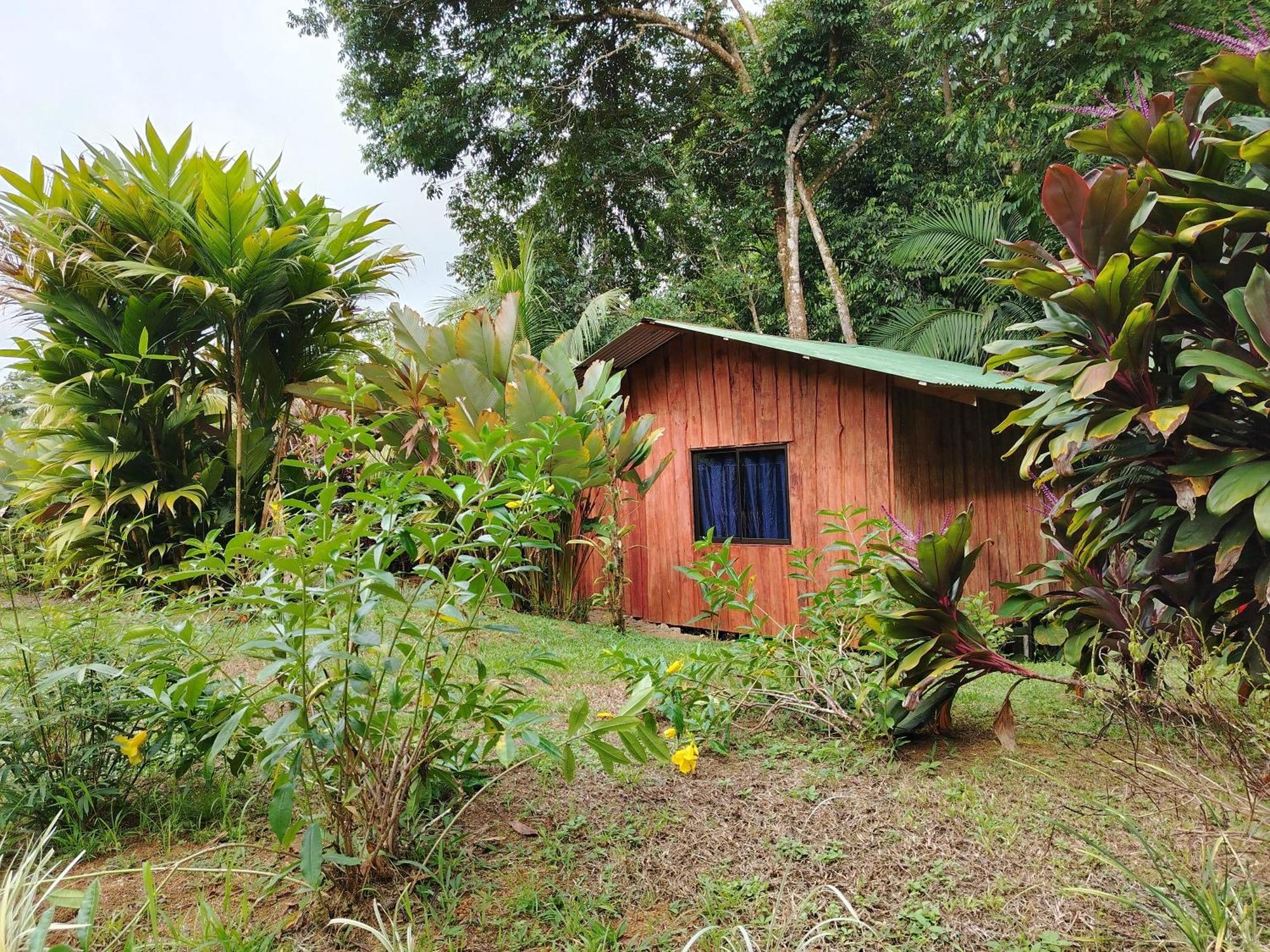 Citronela Lodge Corcovado Drakes Bay 외부 사진