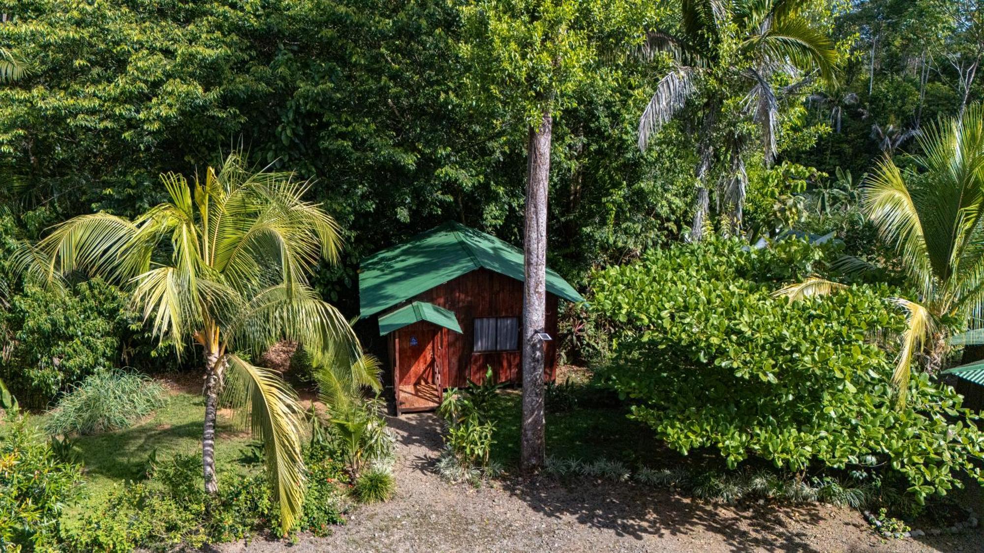 Citronela Lodge Corcovado Drakes Bay 외부 사진