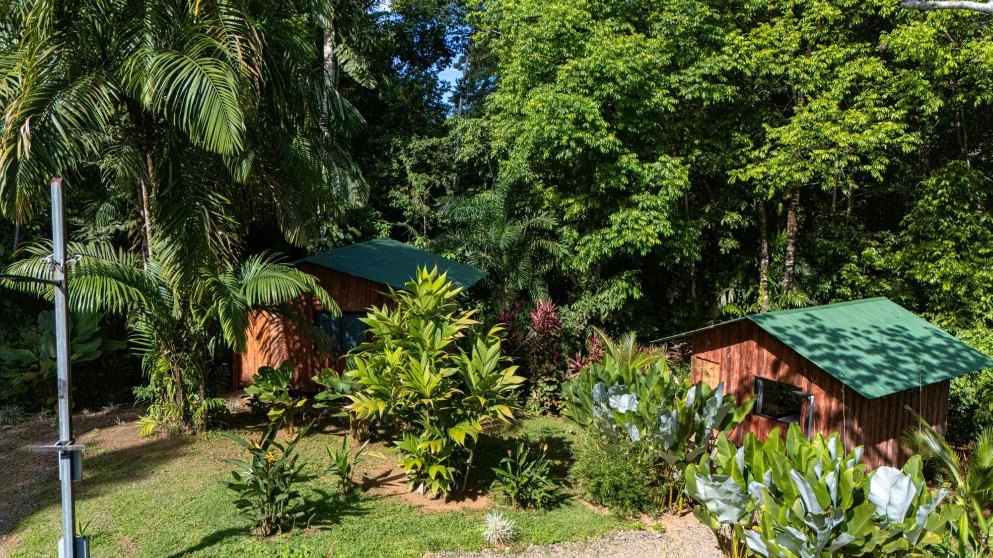 Citronela Lodge Corcovado Drakes Bay 외부 사진