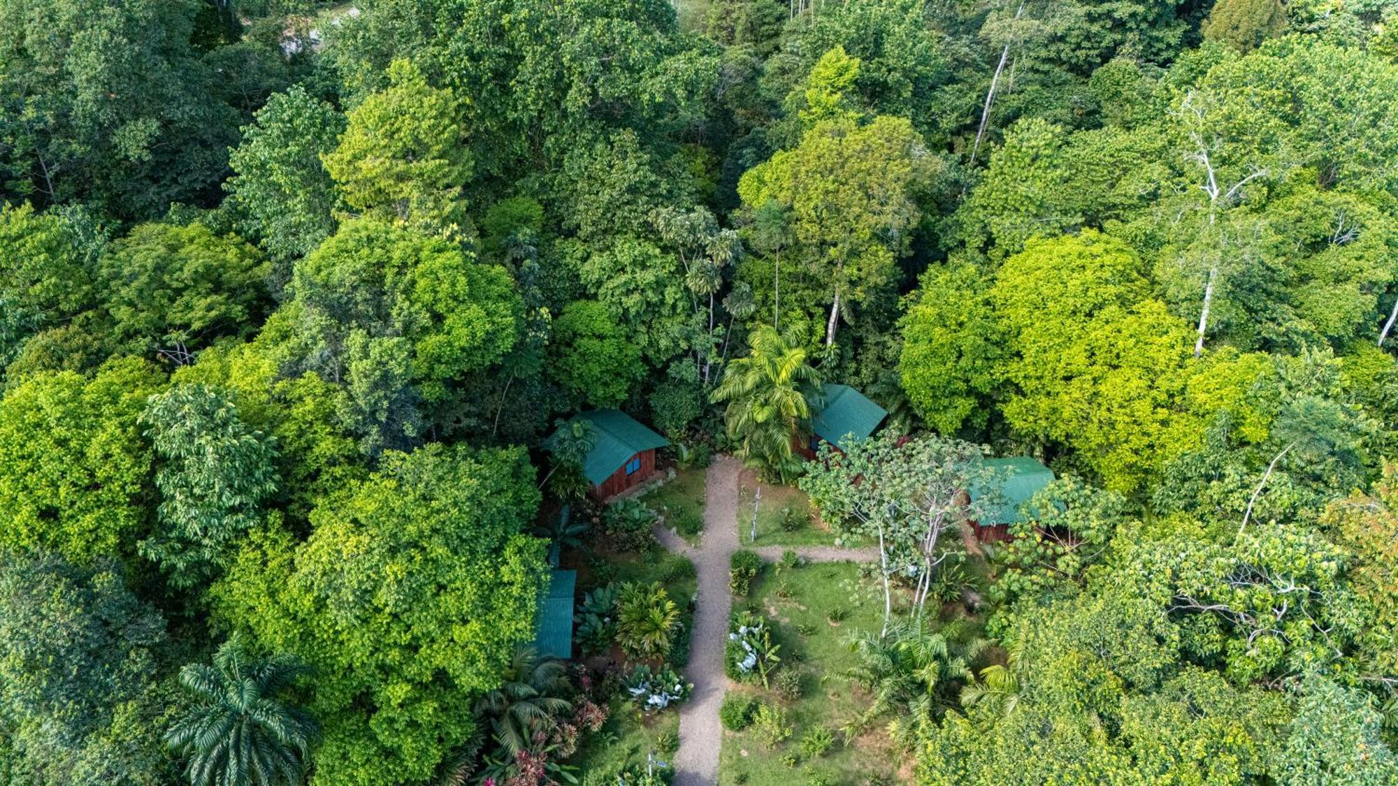Citronela Lodge Corcovado Drakes Bay 외부 사진