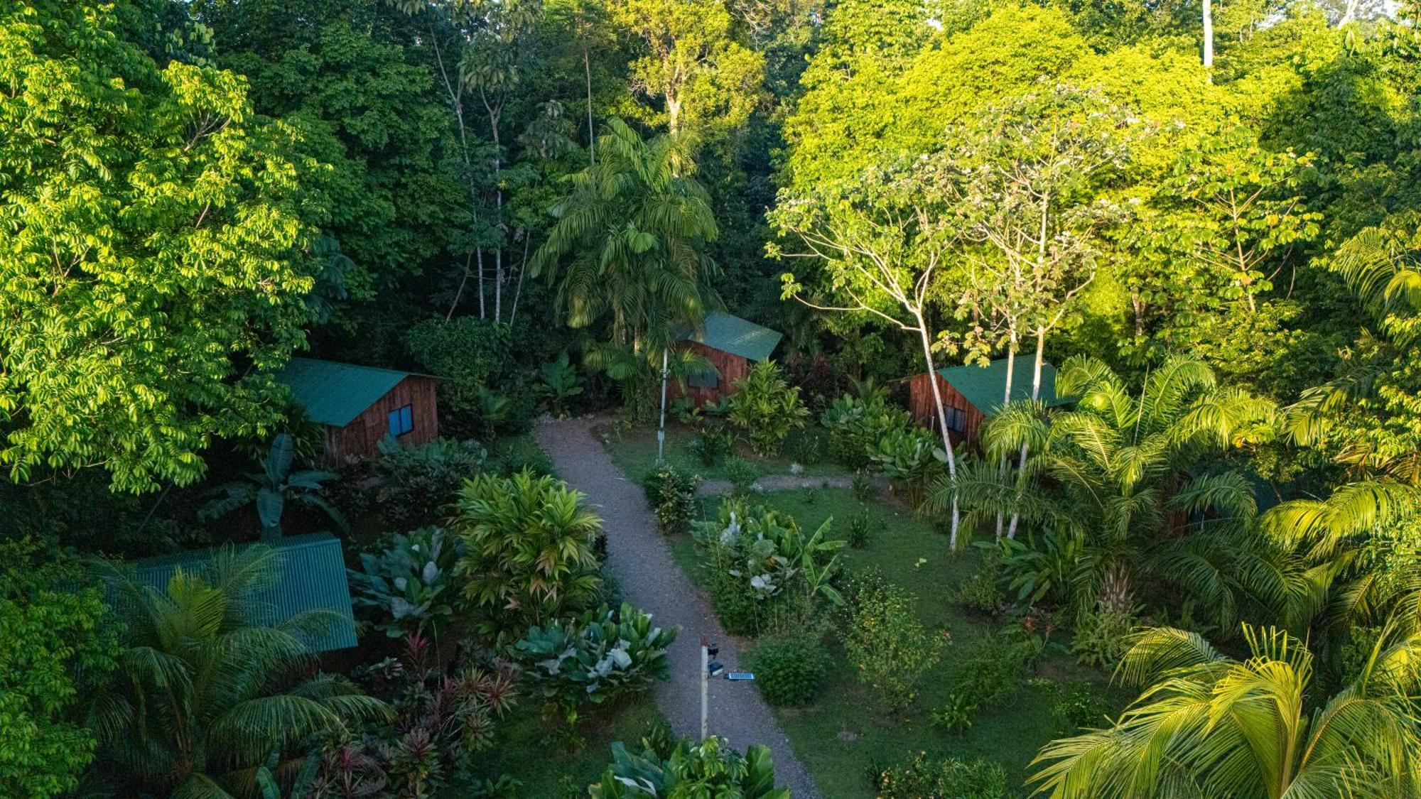 Citronela Lodge Corcovado Drakes Bay 외부 사진