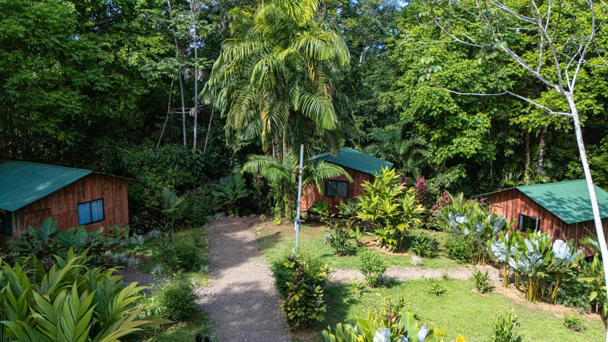 Citronela Lodge Corcovado Drakes Bay 외부 사진