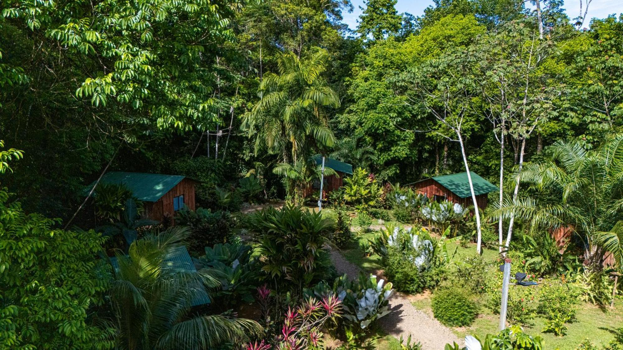 Citronela Lodge Corcovado Drakes Bay 외부 사진