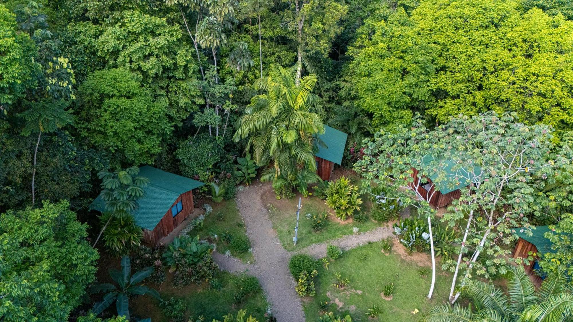 Citronela Lodge Corcovado Drakes Bay 외부 사진