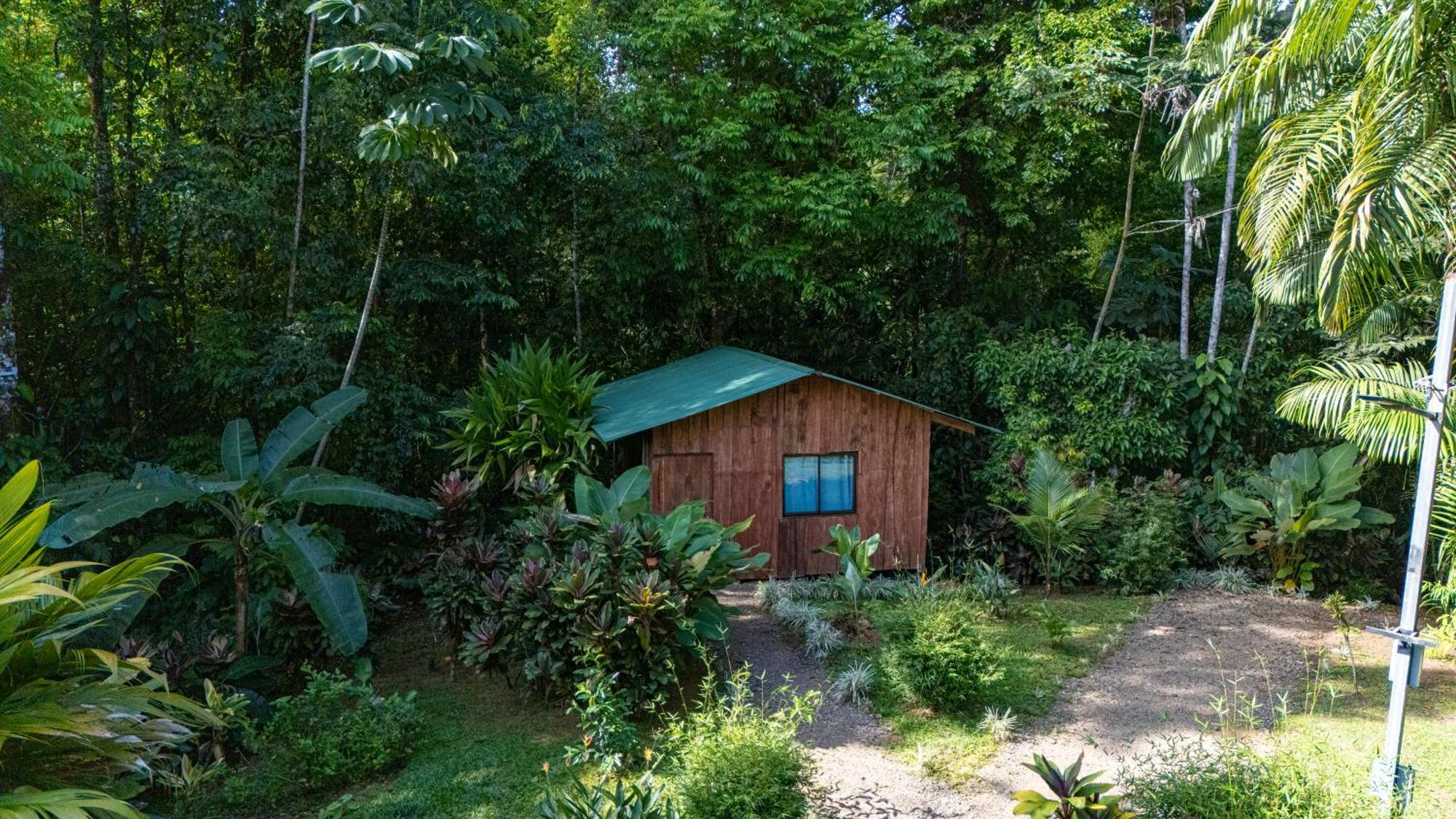 Citronela Lodge Corcovado Drakes Bay 외부 사진