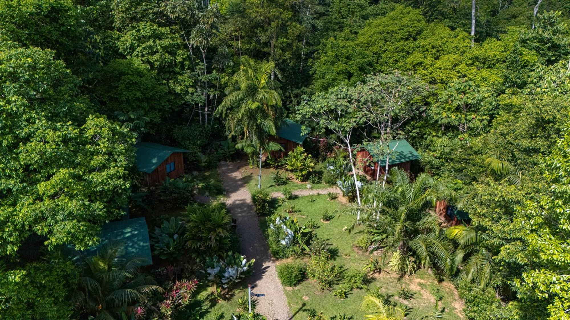 Citronela Lodge Corcovado Drakes Bay 외부 사진