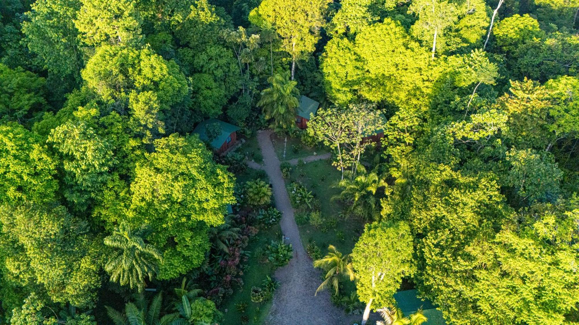 Citronela Lodge Corcovado Drakes Bay 외부 사진