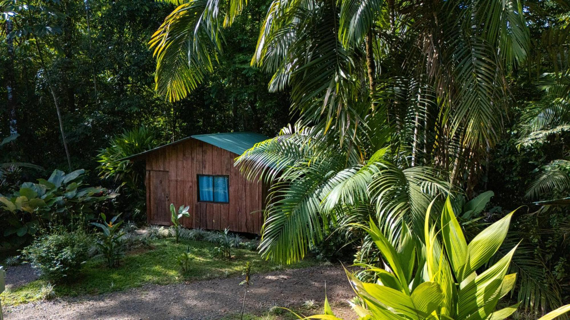 Citronela Lodge Corcovado Drakes Bay 외부 사진