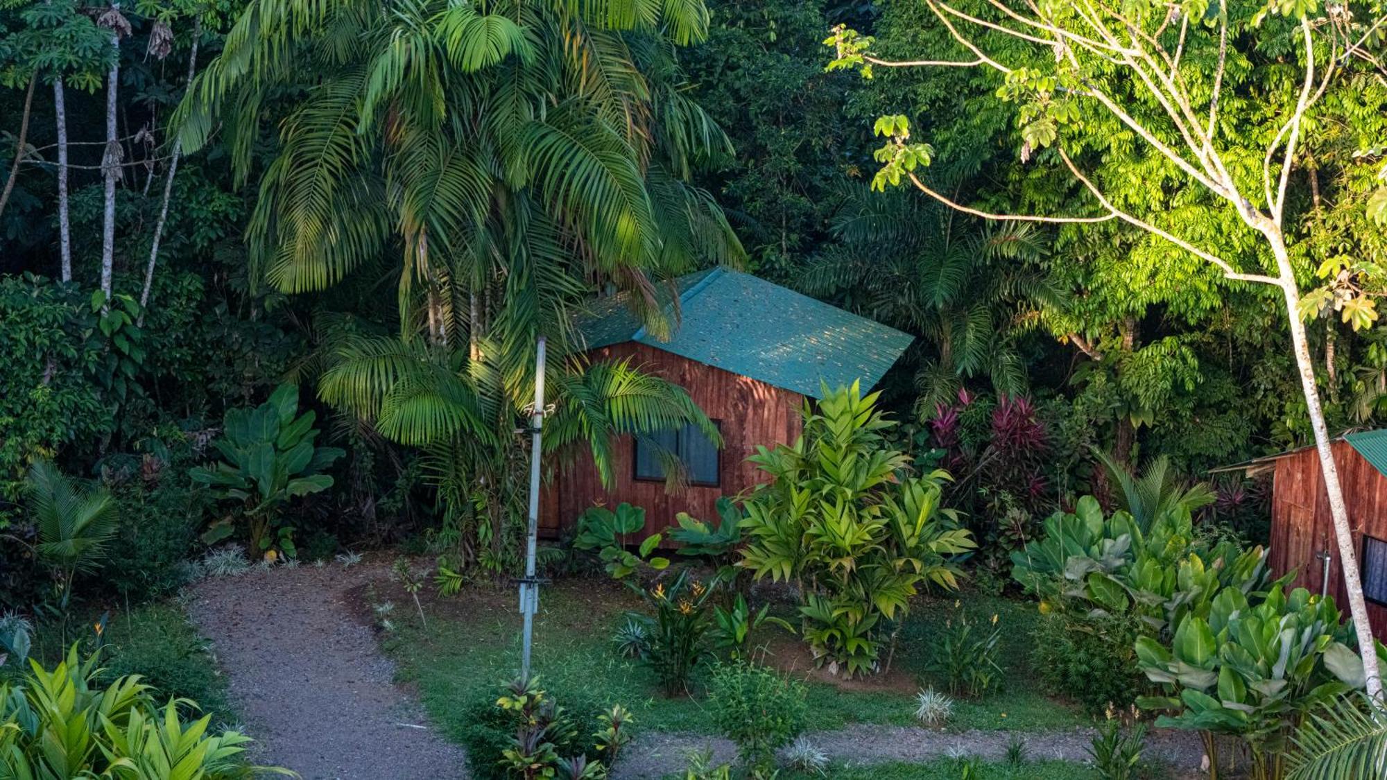 Citronela Lodge Corcovado Drakes Bay 외부 사진