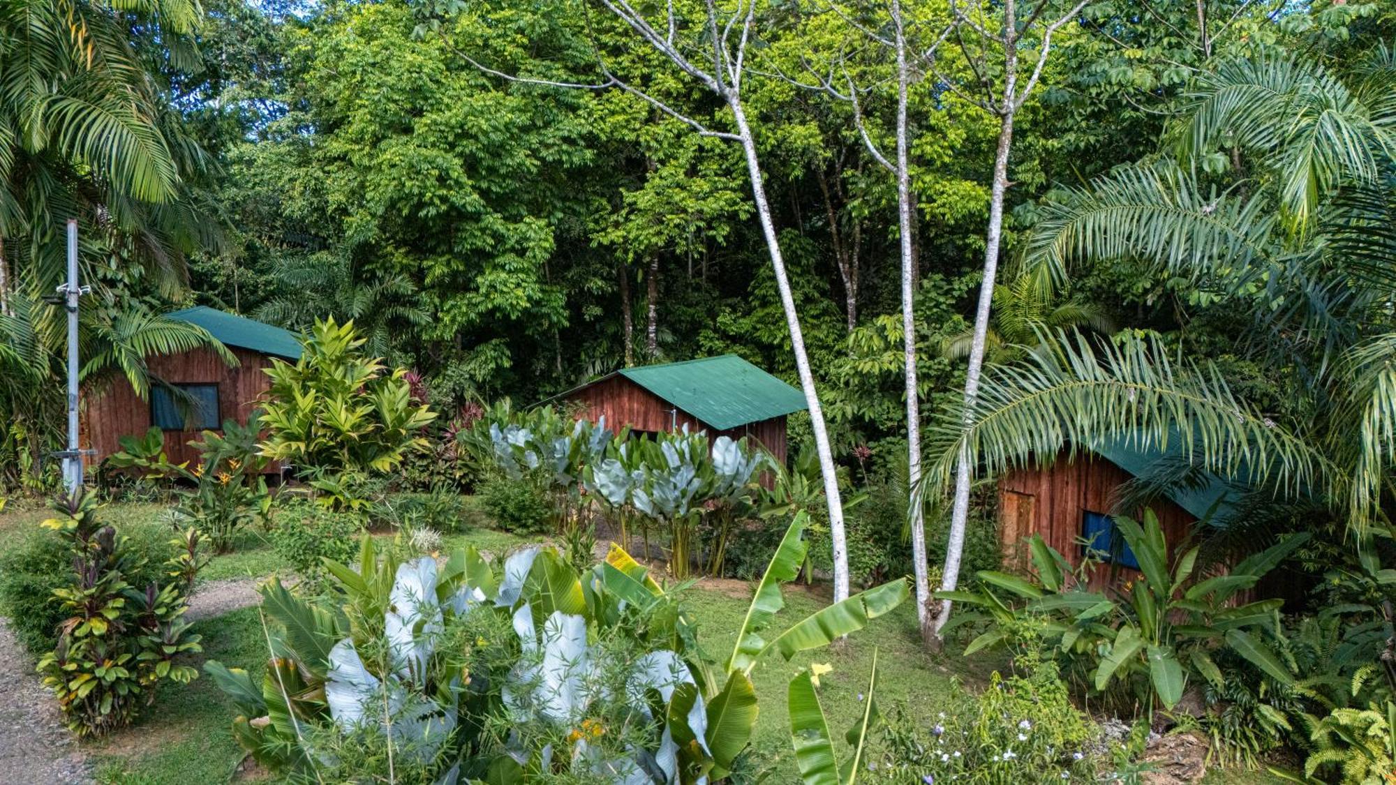 Citronela Lodge Corcovado Drakes Bay 외부 사진