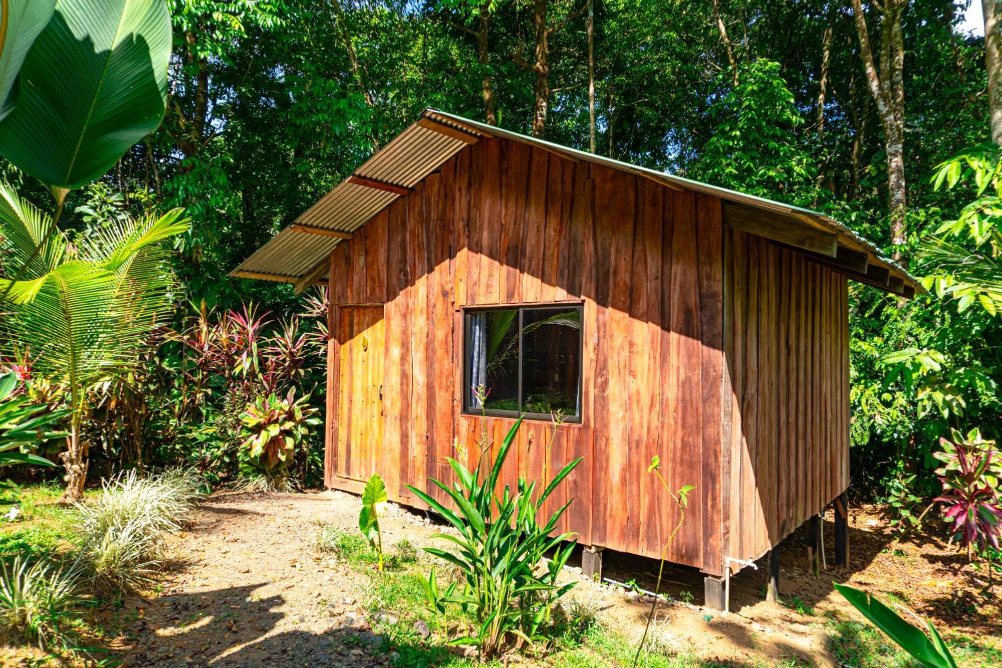 Citronela Lodge Corcovado Drakes Bay 외부 사진