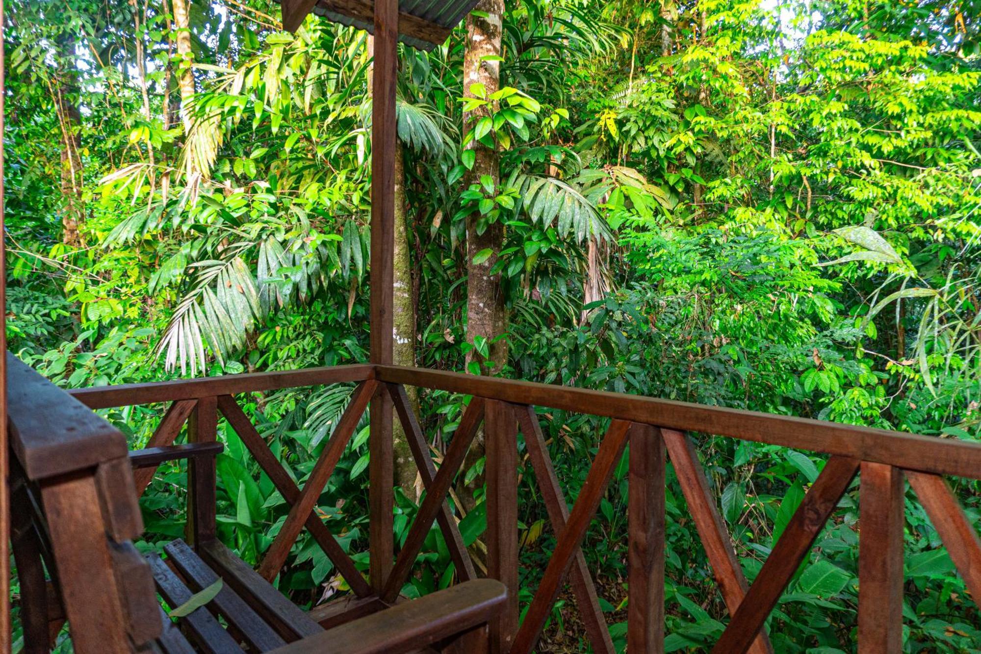 Citronela Lodge Corcovado Drakes Bay 외부 사진