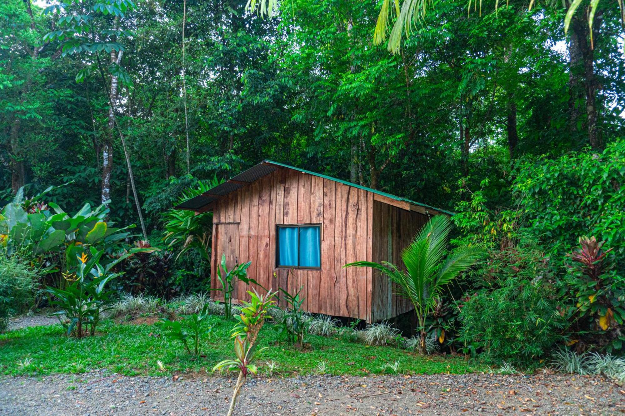 Citronela Lodge Corcovado Drakes Bay 외부 사진