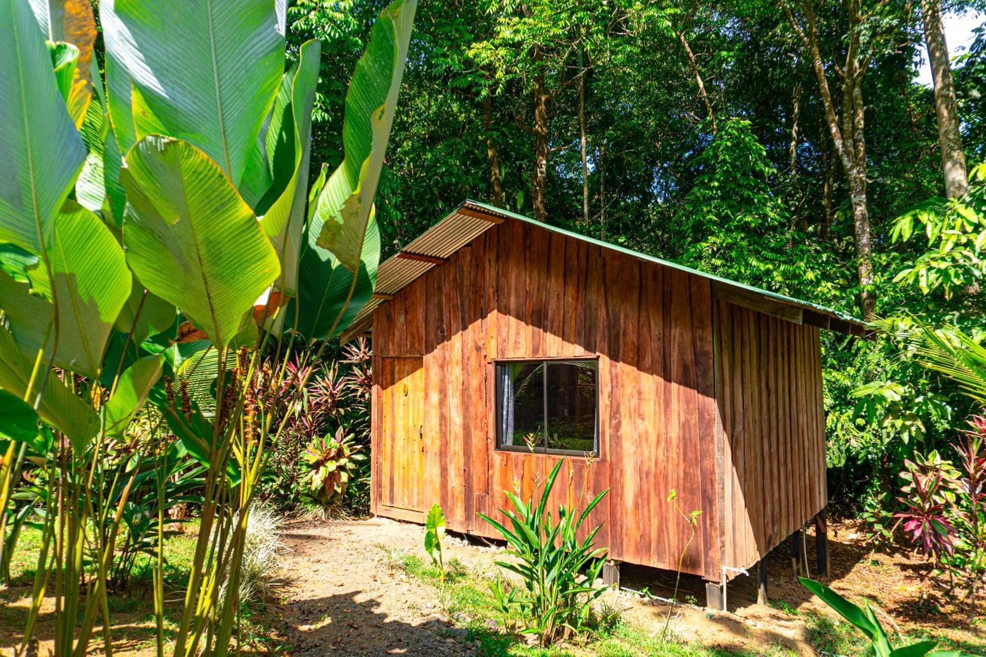 Citronela Lodge Corcovado Drakes Bay 외부 사진