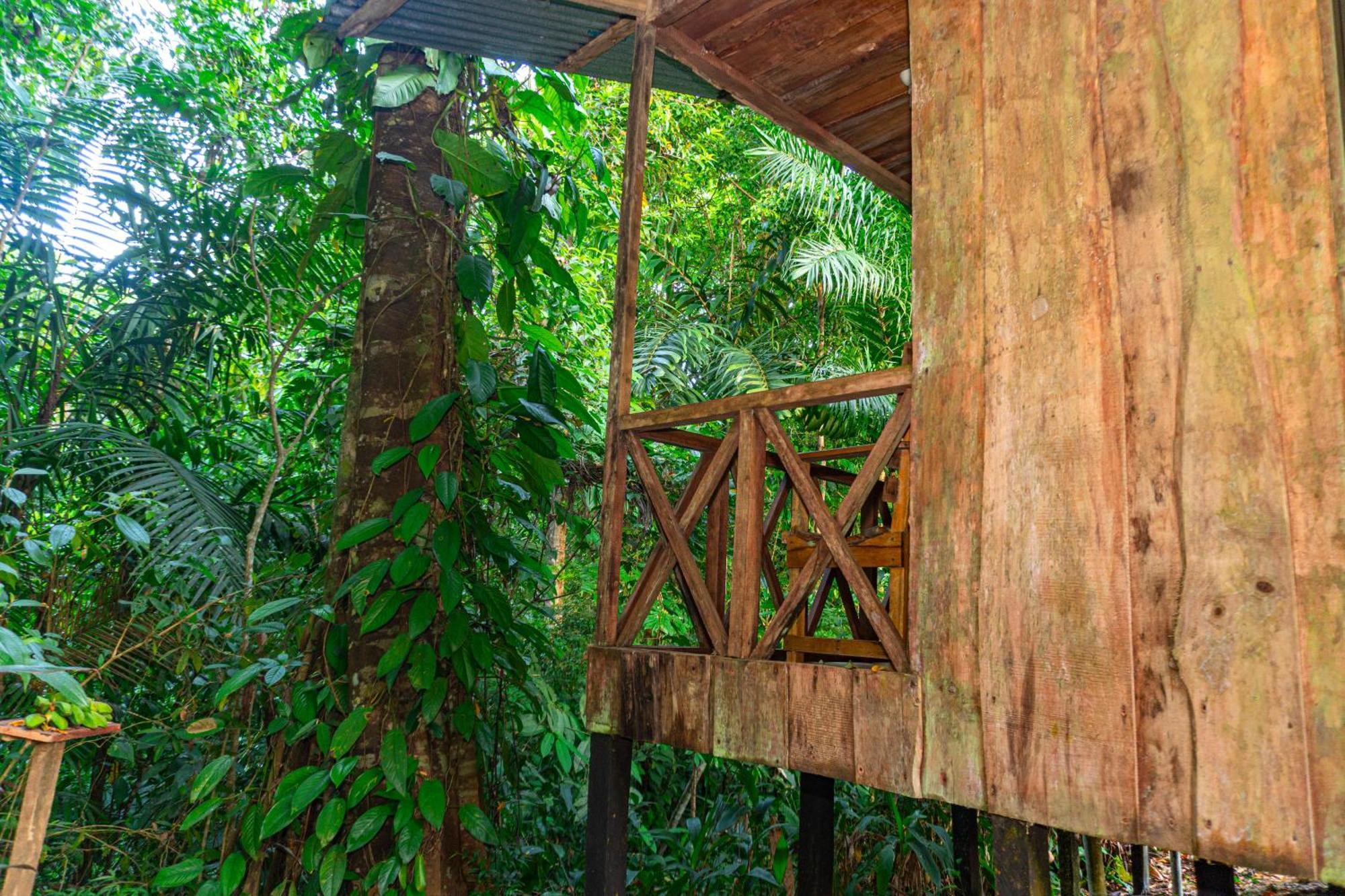 Citronela Lodge Corcovado Drakes Bay 외부 사진