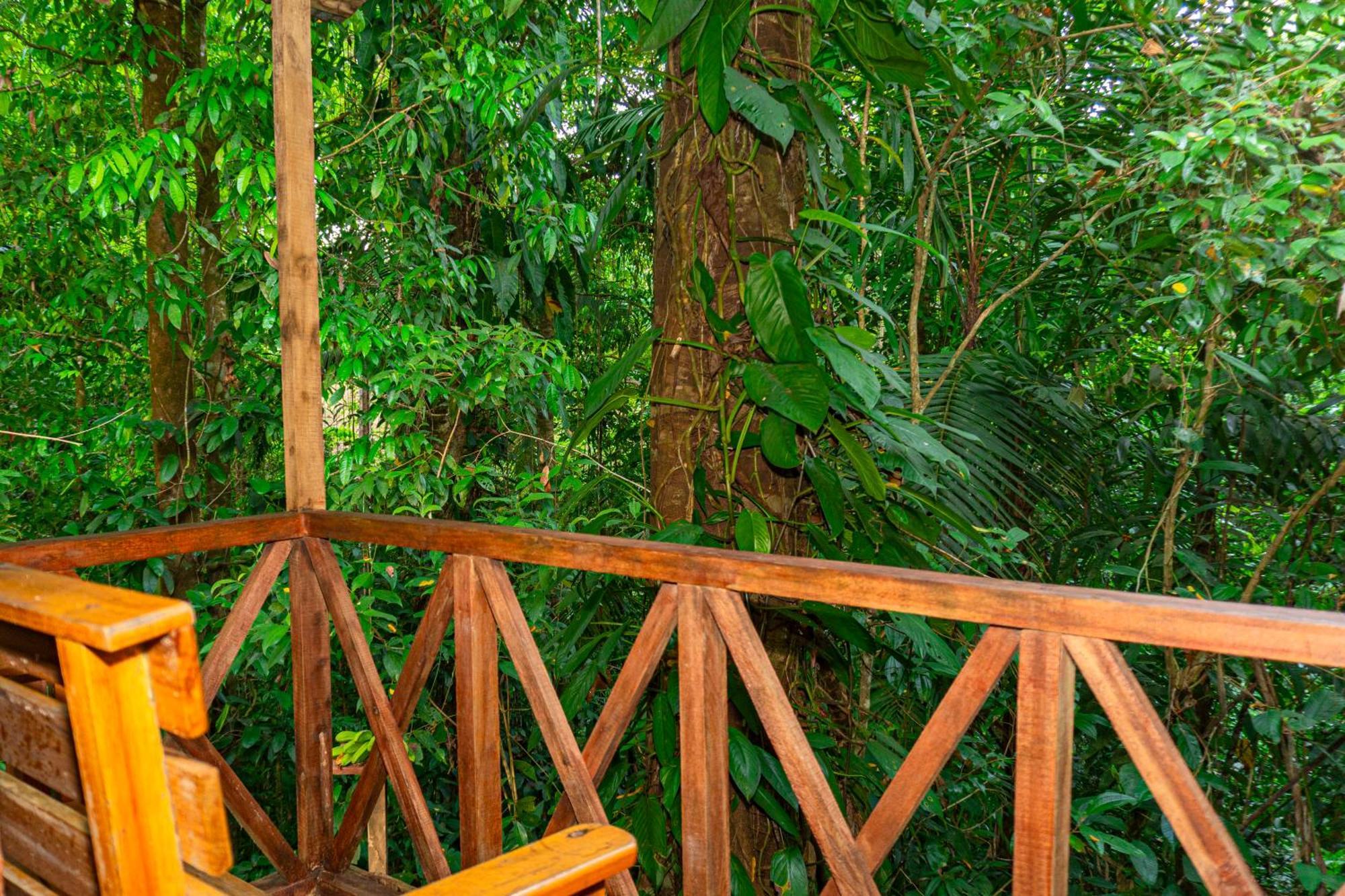 Citronela Lodge Corcovado Drakes Bay 외부 사진