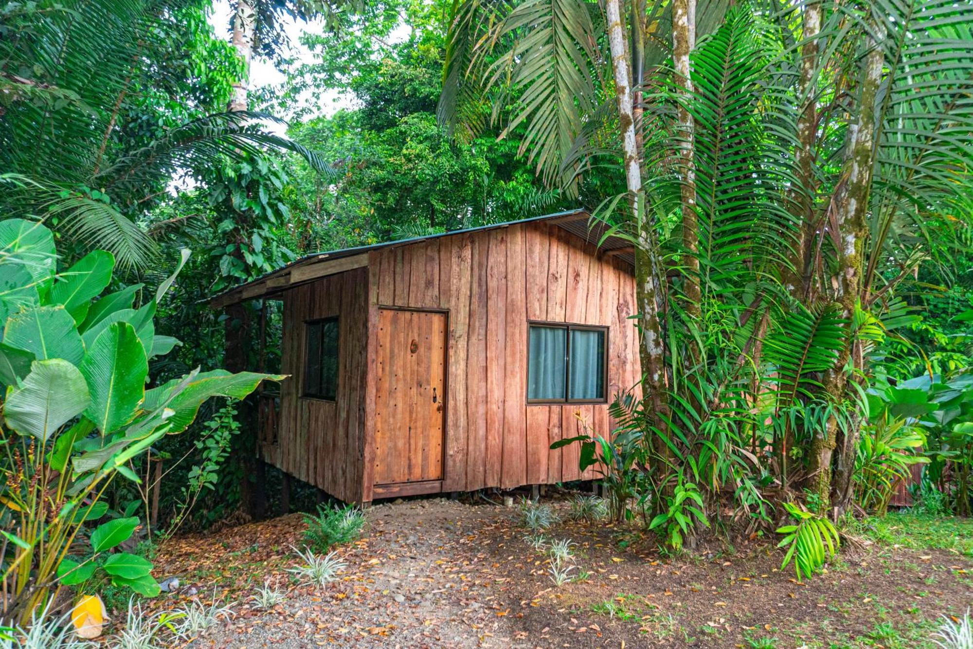 Citronela Lodge Corcovado Drakes Bay 외부 사진