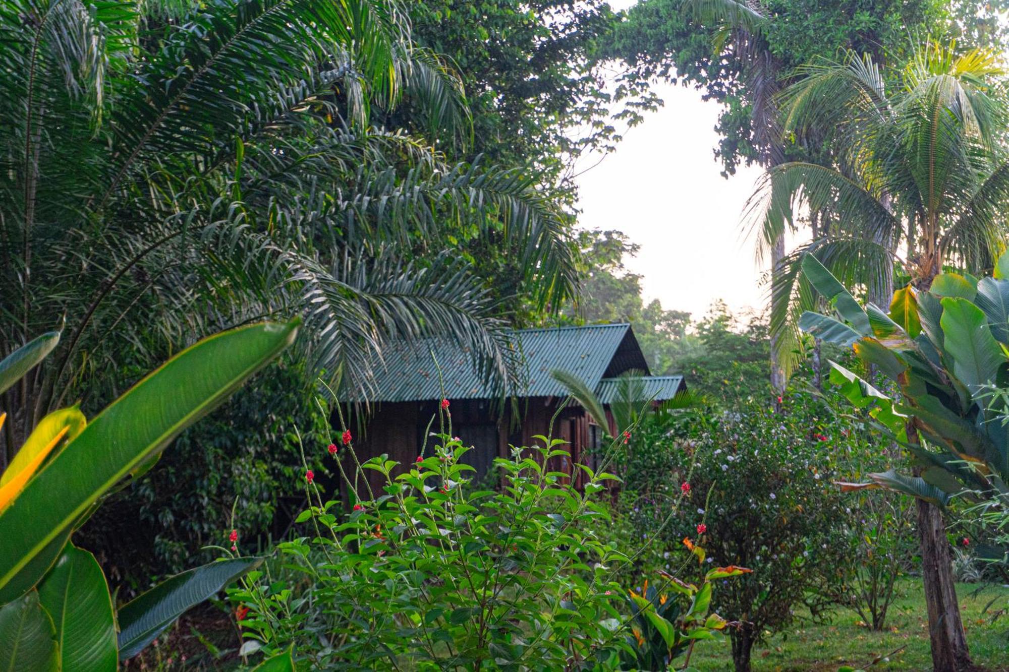 Citronela Lodge Corcovado Drakes Bay 외부 사진