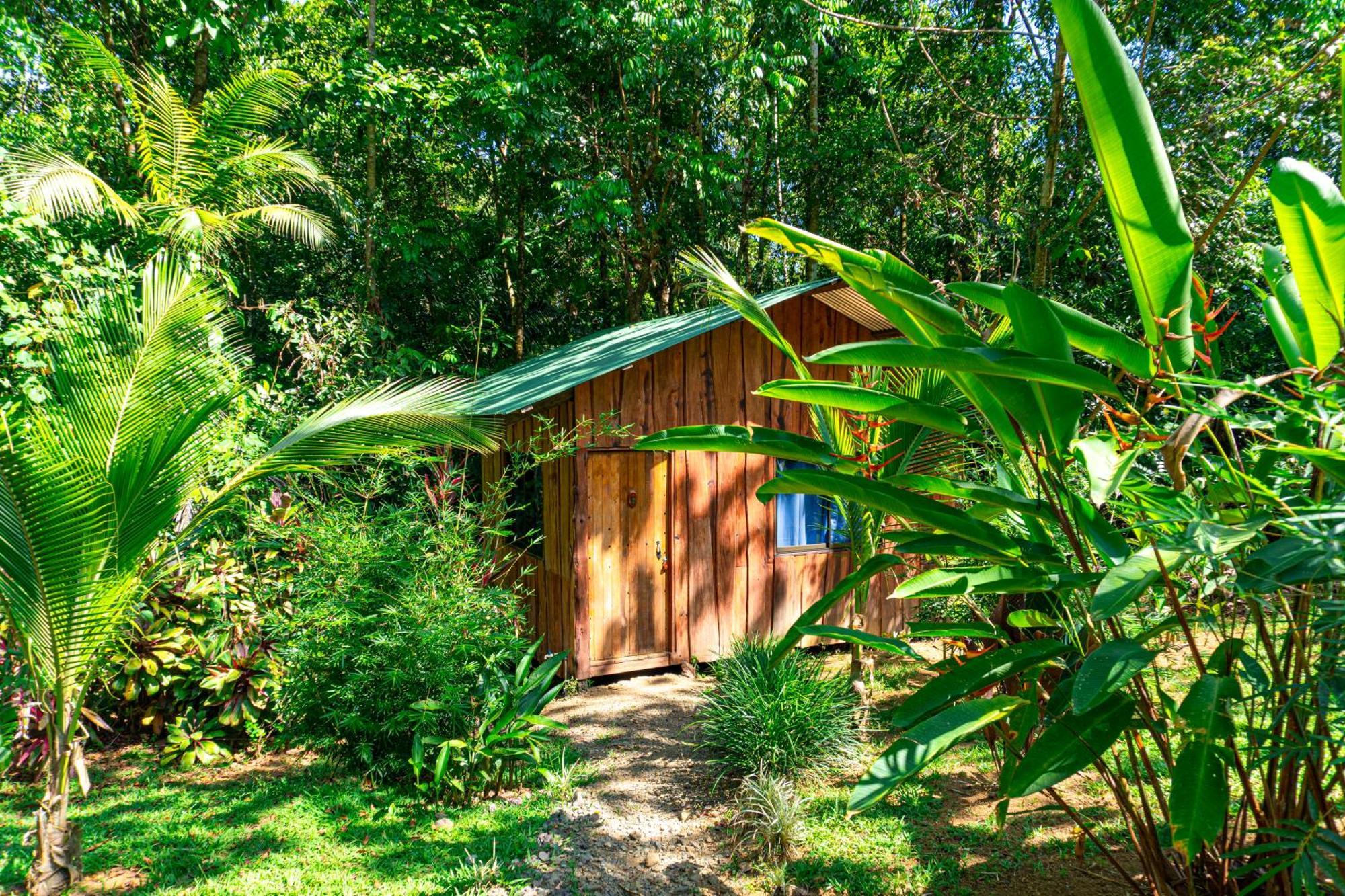 Citronela Lodge Corcovado Drakes Bay 외부 사진