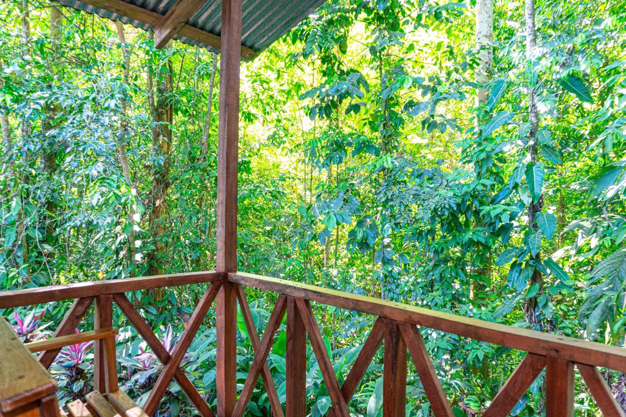Citronela Lodge Corcovado Drakes Bay 외부 사진