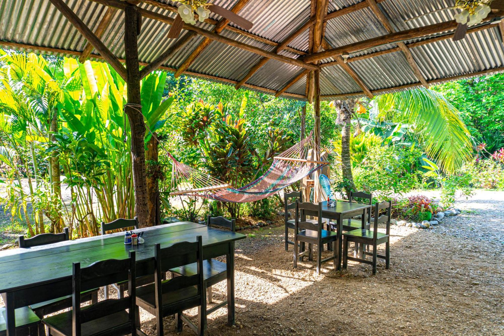 Citronela Lodge Corcovado Drakes Bay 외부 사진