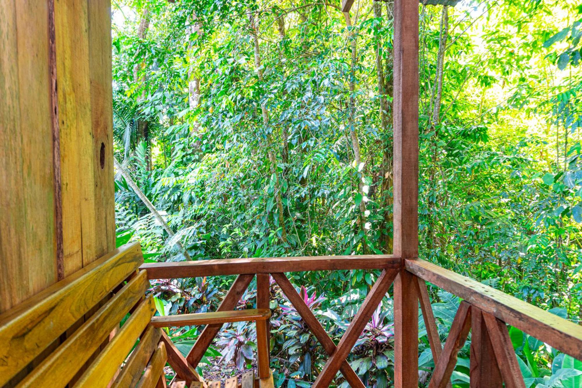 Citronela Lodge Corcovado Drakes Bay 외부 사진