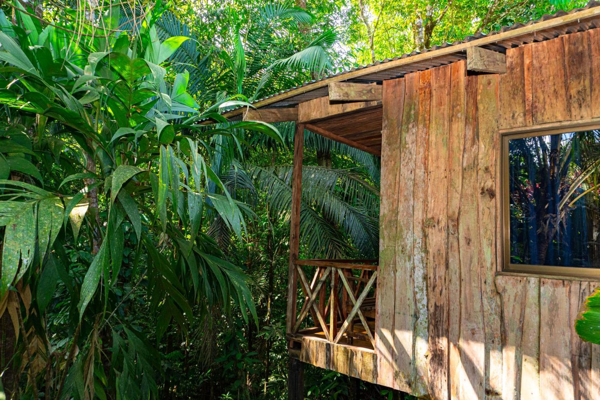 Citronela Lodge Corcovado Drakes Bay 외부 사진