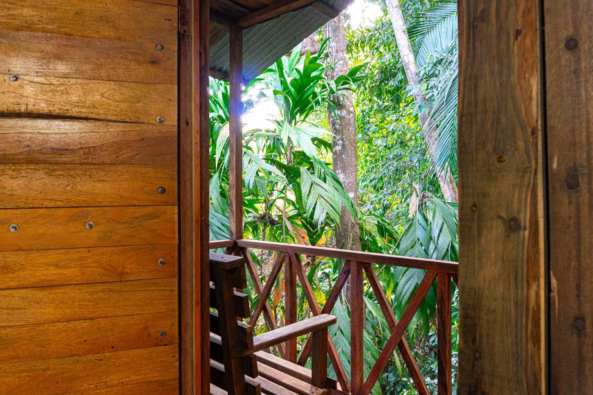 Citronela Lodge Corcovado Drakes Bay 외부 사진