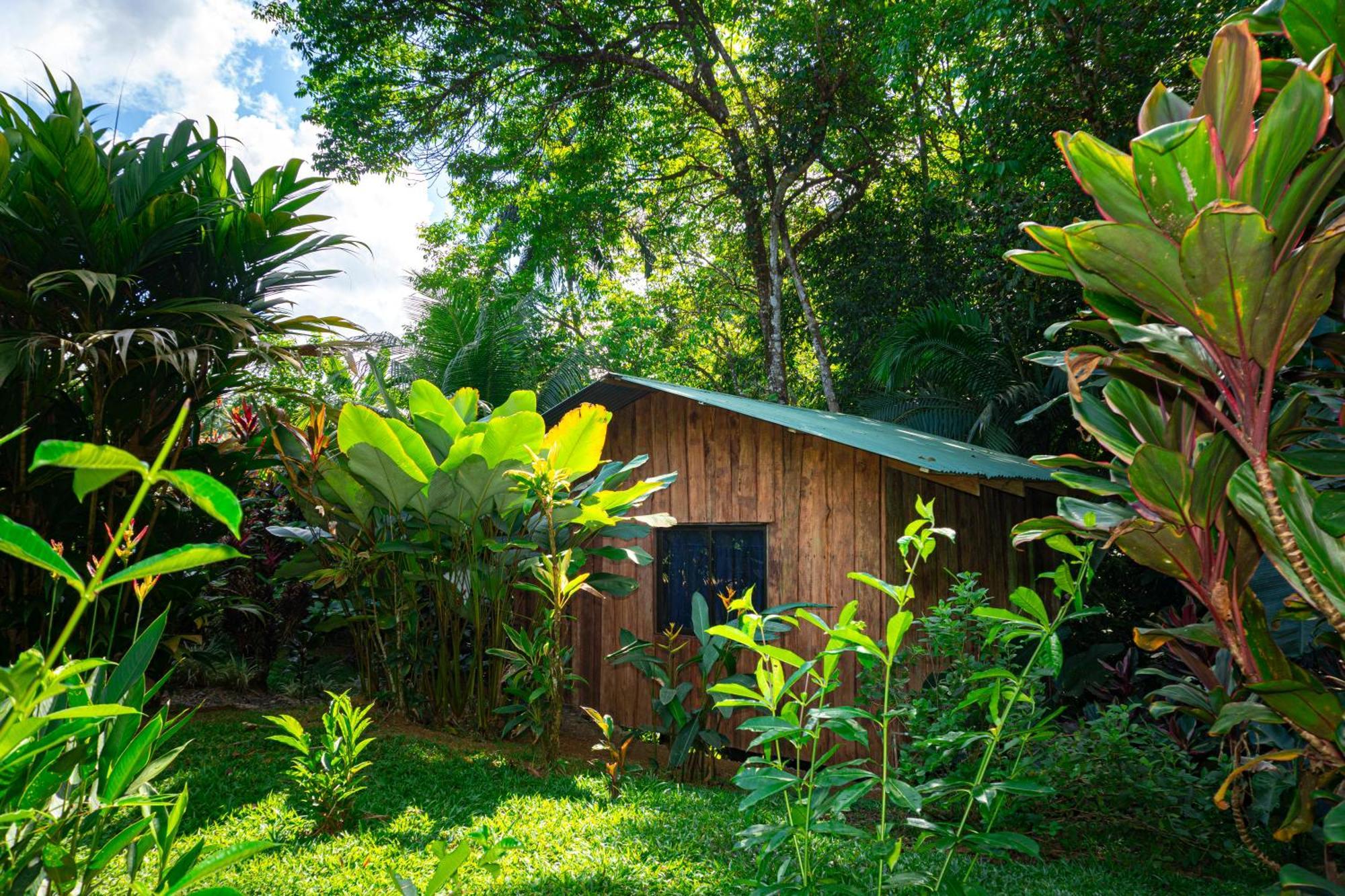 Citronela Lodge Corcovado Drakes Bay 외부 사진