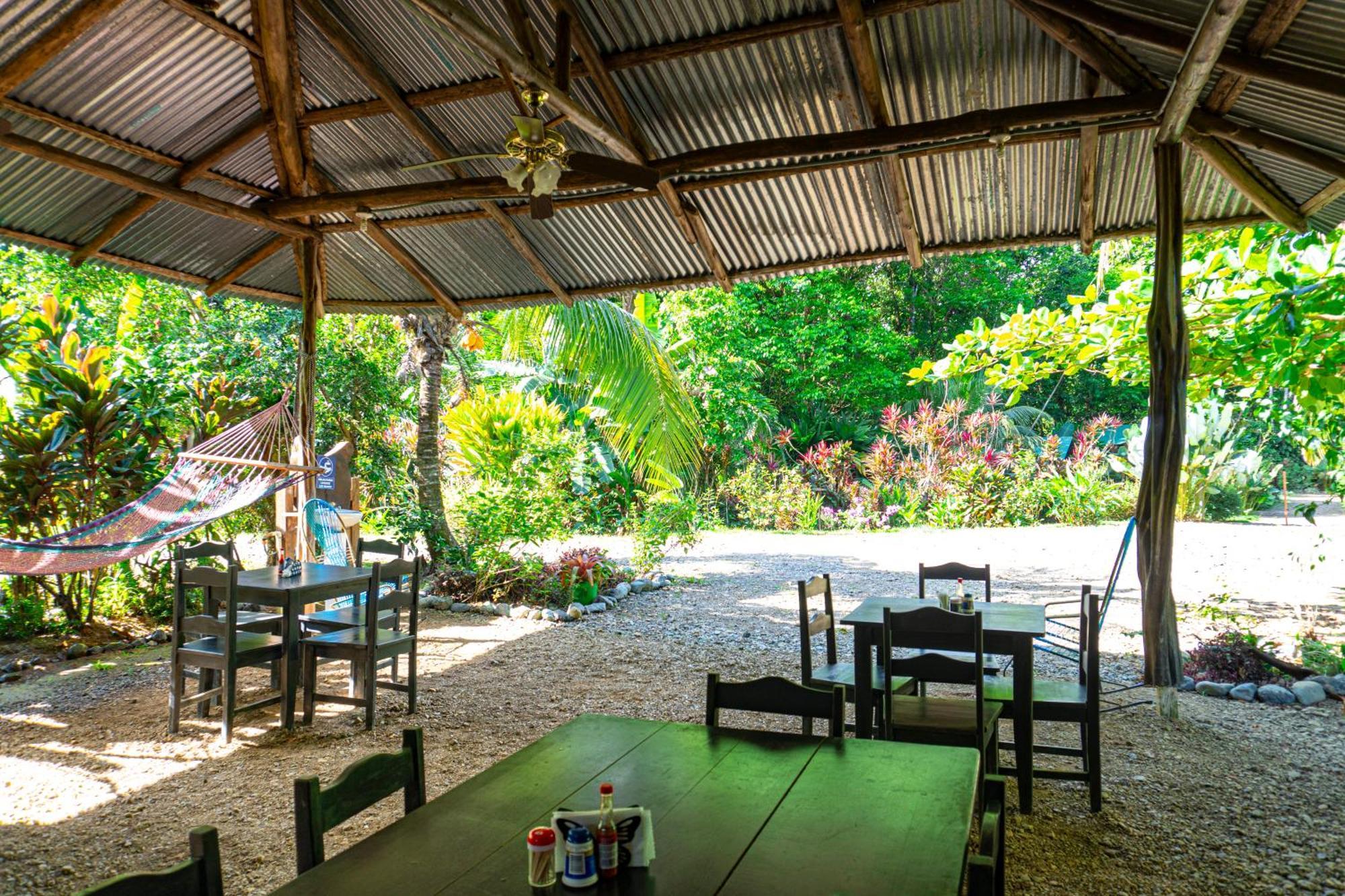 Citronela Lodge Corcovado Drakes Bay 외부 사진