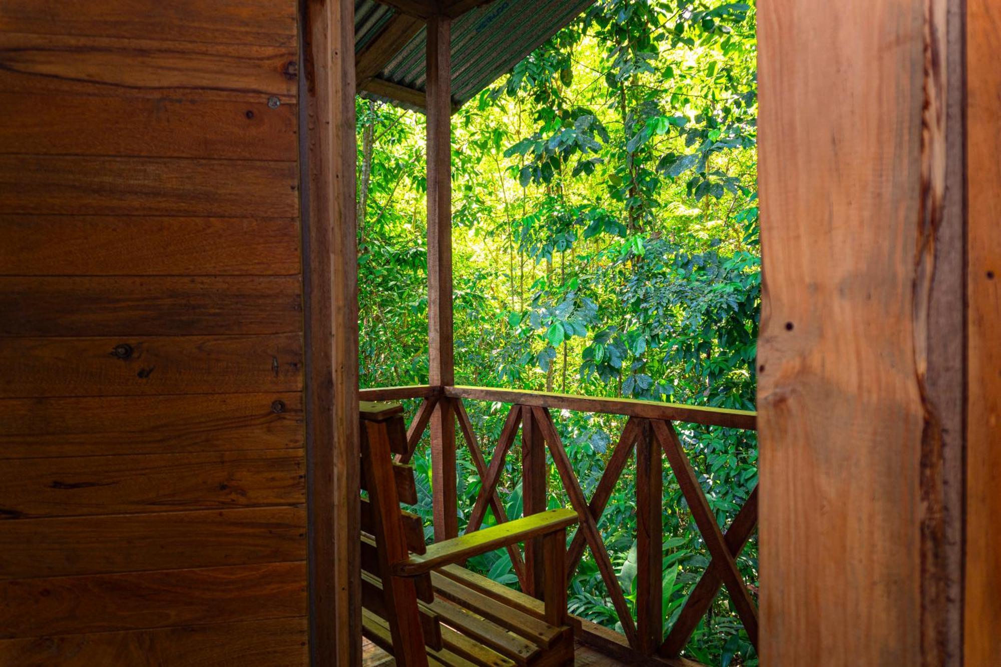 Citronela Lodge Corcovado Drakes Bay 외부 사진