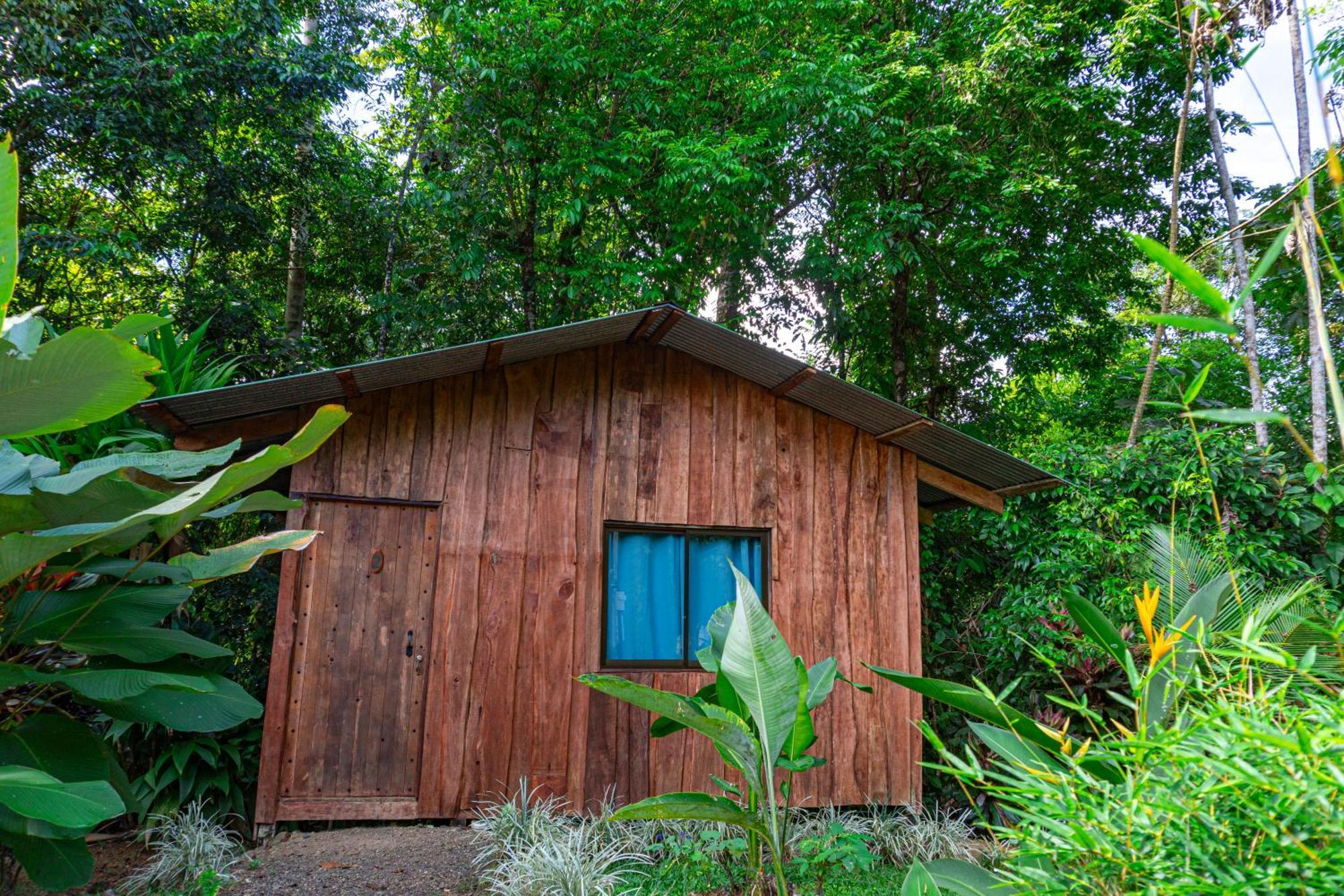 Citronela Lodge Corcovado Drakes Bay 외부 사진