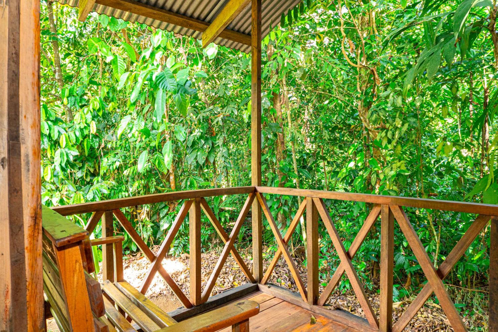 Citronela Lodge Corcovado Drakes Bay 외부 사진